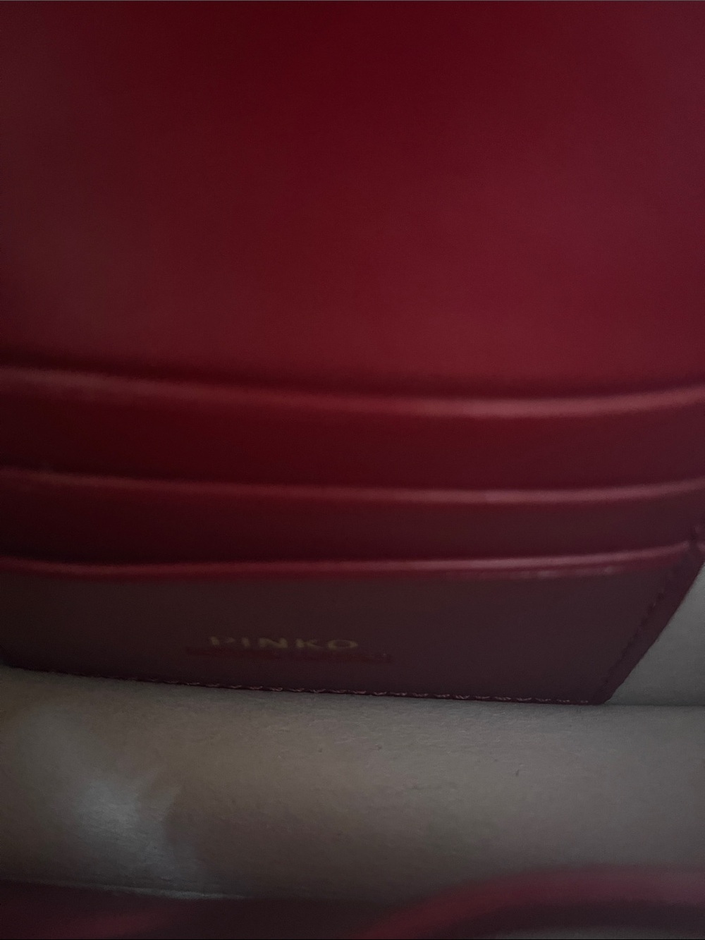 Pinko Red Leather Crossbody with Gold Bird Ring - Picture 5 of 7